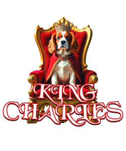 Illustration of a regal King Charles Spaniel seated on a golden throne, wearing a red velvet cape with fur trim and a golden crown.