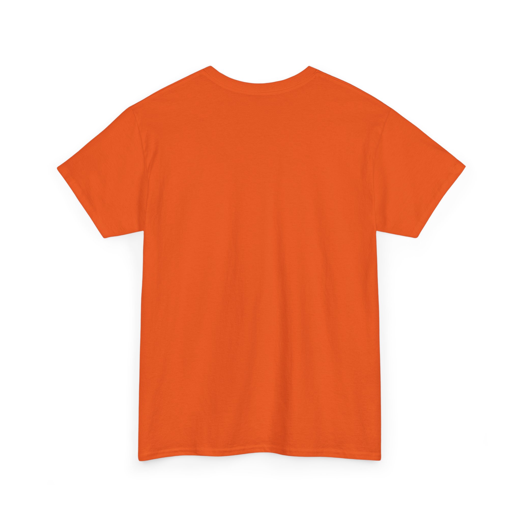 Orange Tabby Cat T-Shirt | Highly Qualified to Nap - Image 23